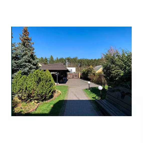 AnyConv.com__Гугл фотошоп 3 Борничі