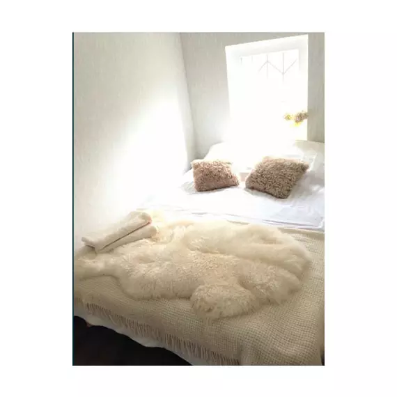 Оренда будинку Русанівські СадиAnyConv.com__Гугл фотошоп 4 (1)