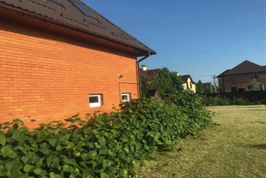 Оренда будинку Київ - Гатнt ОБ-9997 будинок