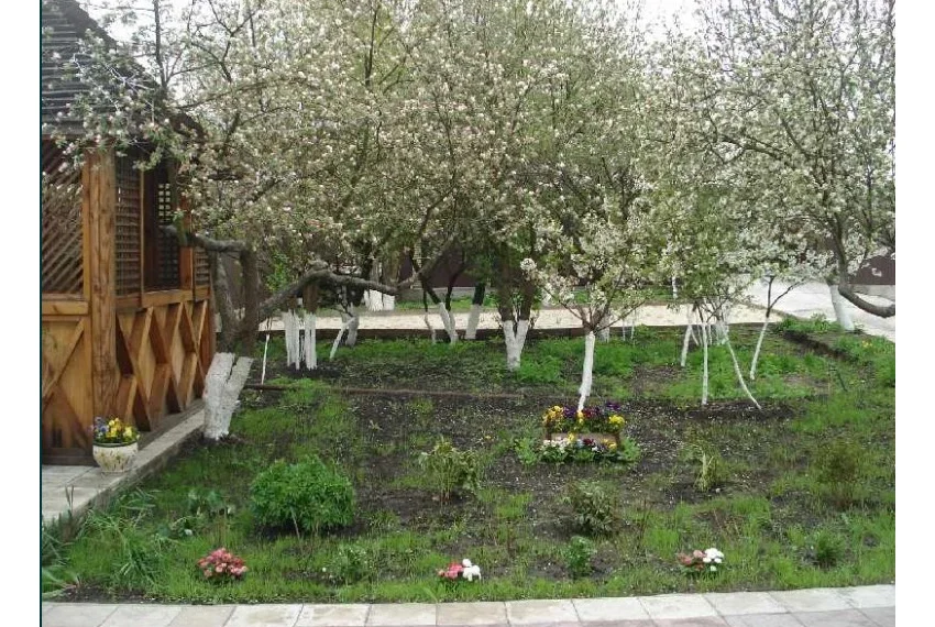 Оренда будинку Продольна 1 ОБ-5126 Сад