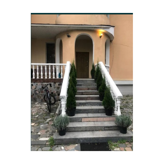 Оренда Дуплекса Виноградна 1 ОД-9132 220 кв.м Східці до будинку