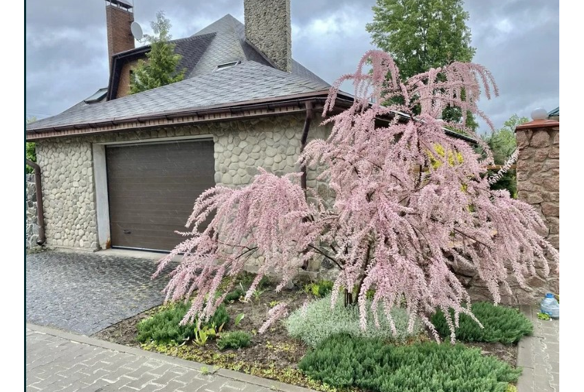 Оренда будинку Ірпінь ОБ-1617 Гараж