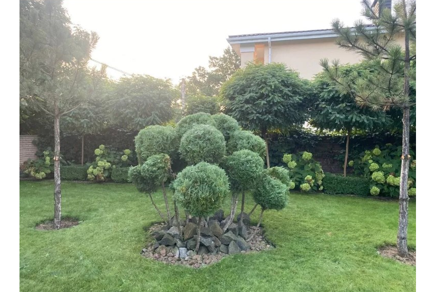 Оренда будинку Ірпінь ОБ-1617 Зелений двір