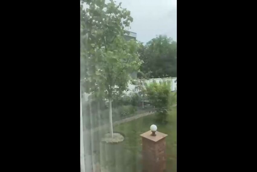 Осокорки 250 кв 6 с